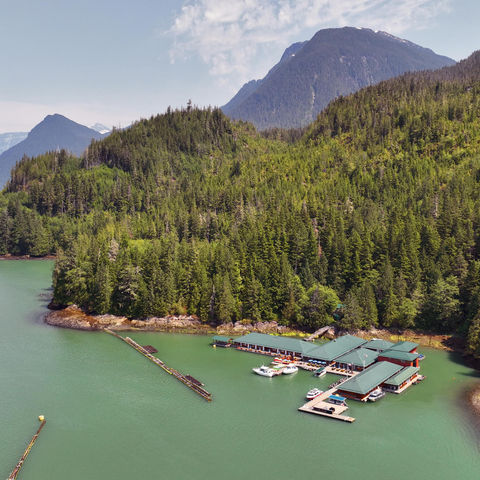 knight-inlet-lodge-aerial-view-forest