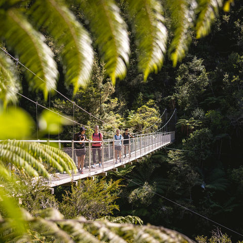 new-zealand-foot-bridge-abel-tasman-national-park-tnz