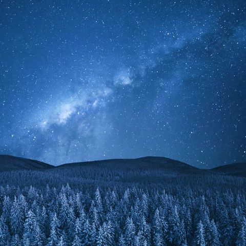 starry-sky-over-fir-trees-istk