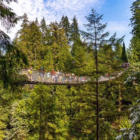 canada-capilano-suspension-bridge-british-columbia-astk