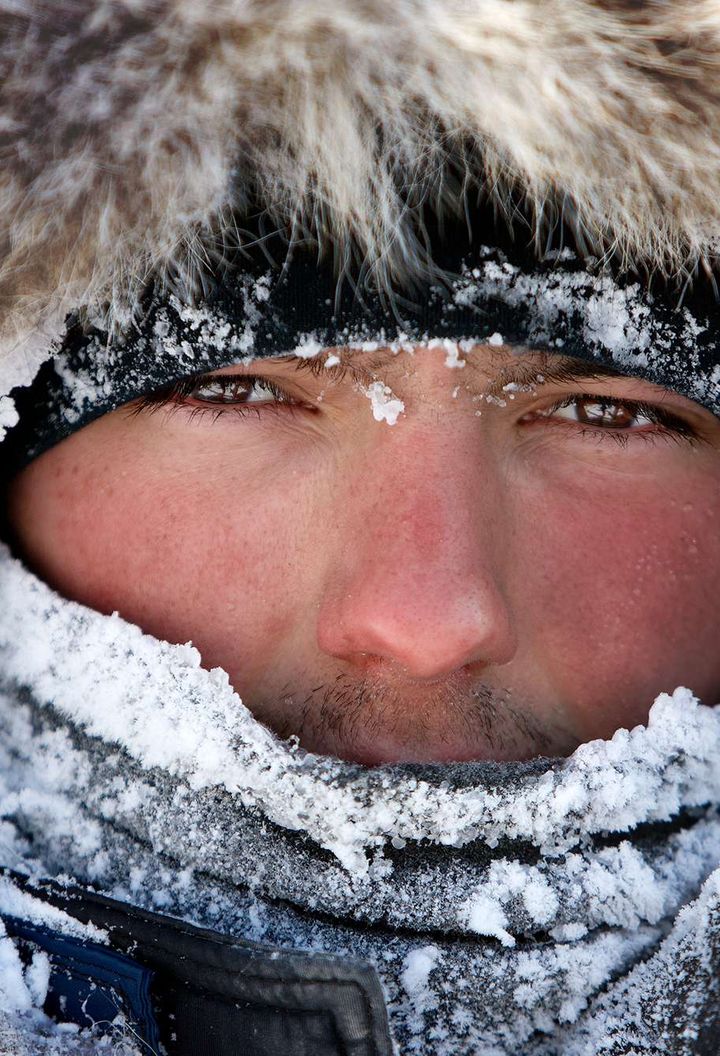 alaska iditarod husky musher atia