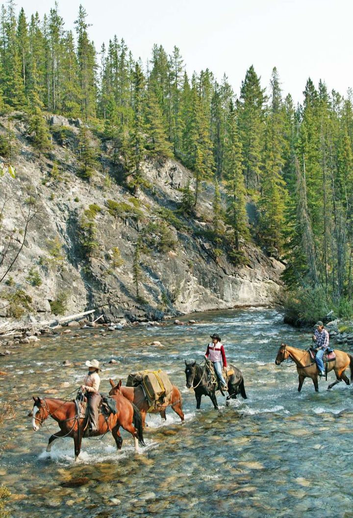 canada alberta horse riding banff national park ta