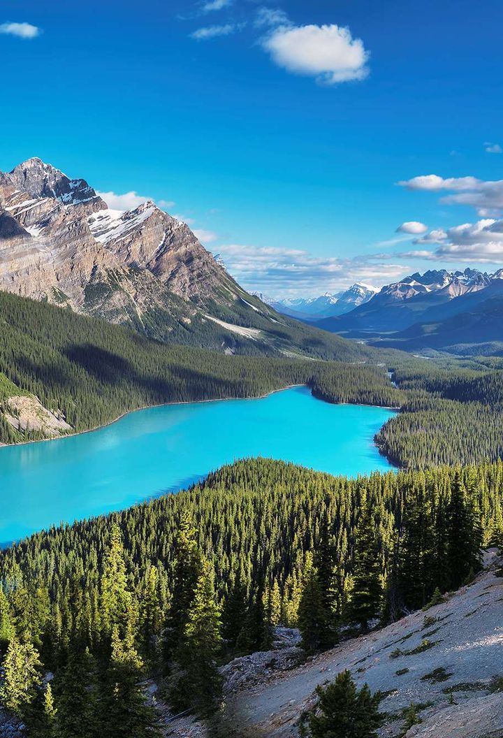 canada alberta peyto lake along icefields parkway istk