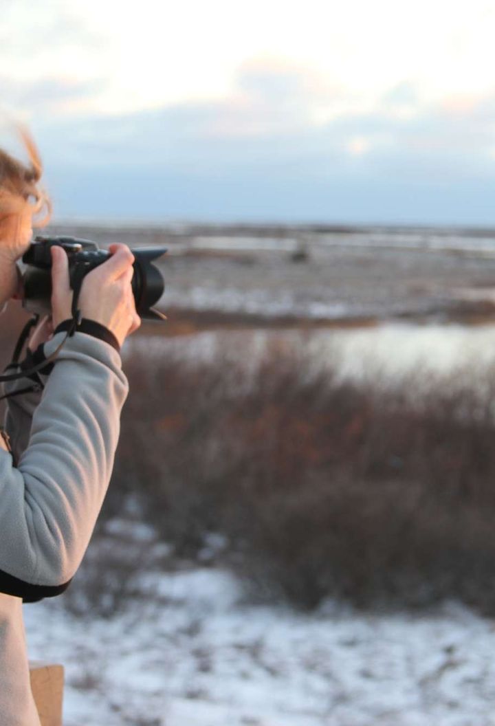 canada churchill photographing bears from polar rover viewing platform nha