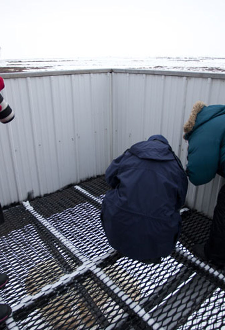 canada manitoba polar rover outside deck nh