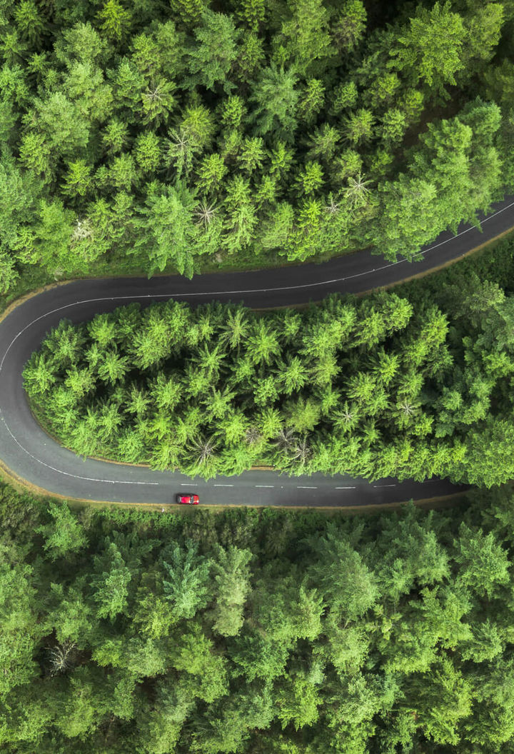 canada road winds through pine trees drone view istk