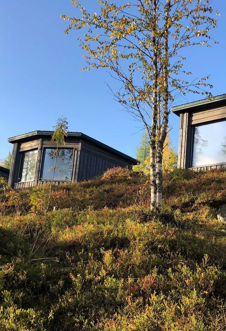 finland luxury bear watching cabins exterior as