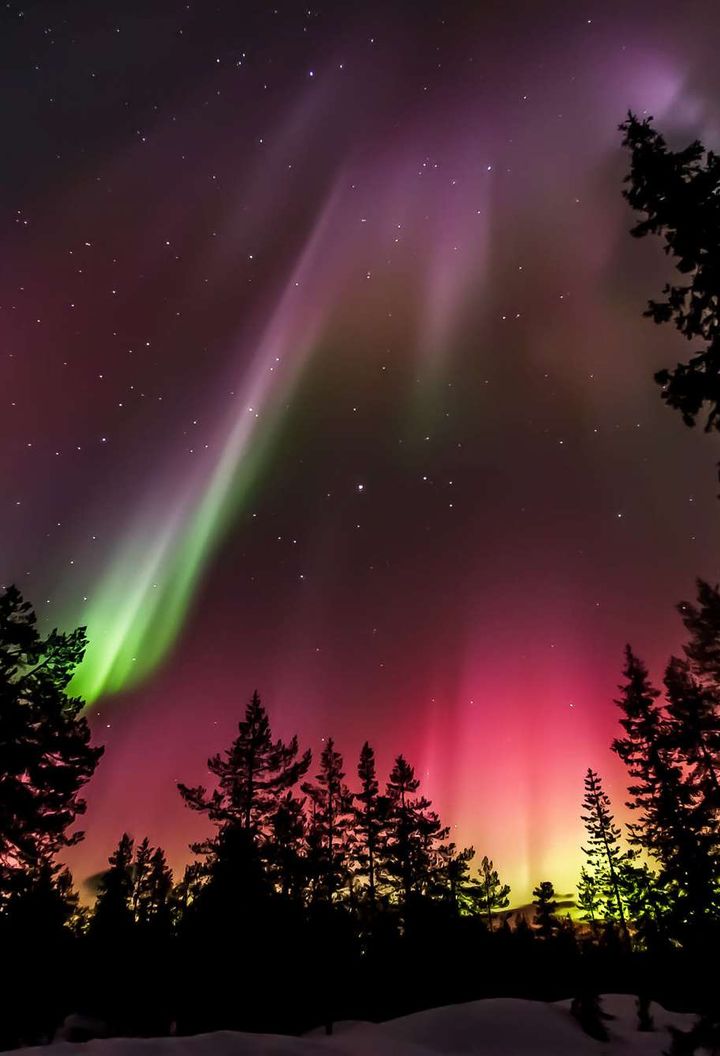 Multi-coloured display of the aurora borealis in Finland