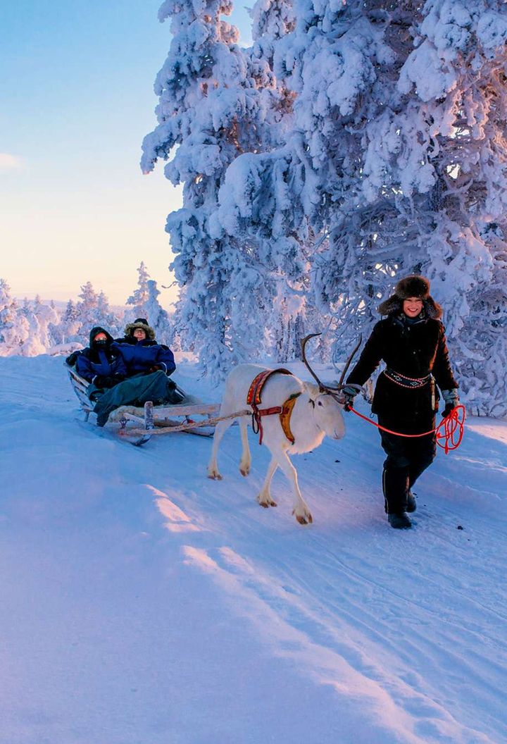 finnish lapland star arctic hotel reindeer safari happy people