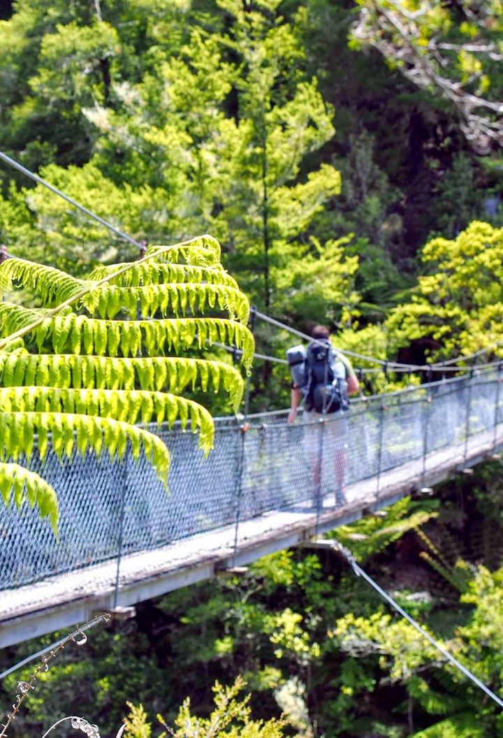 Abel Tasman swing bridge