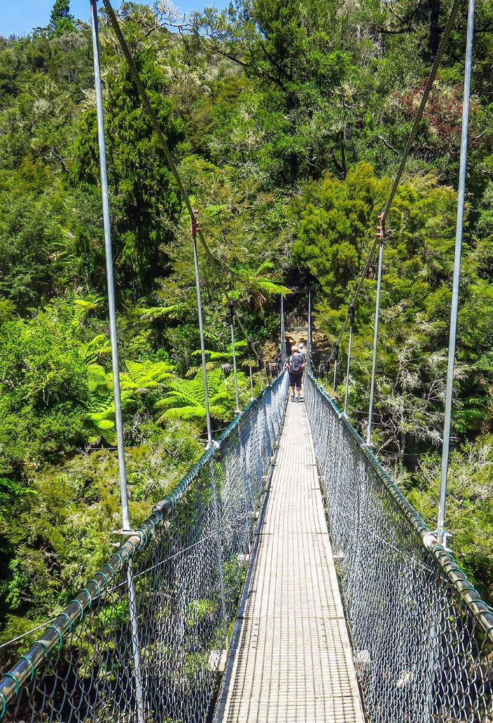 new zealand abel tasman swing bridge pov astk