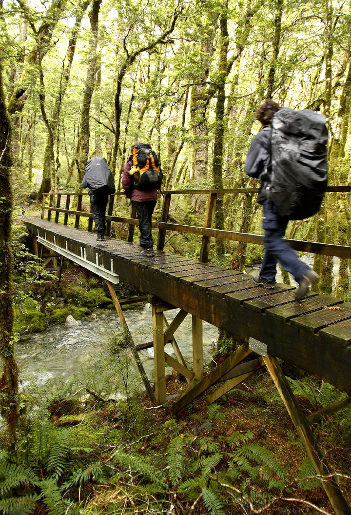 new zealand fiordland kepler track hiking over footbridge df