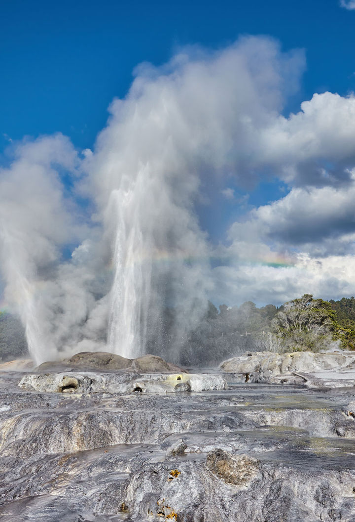 Pohutu Geyser