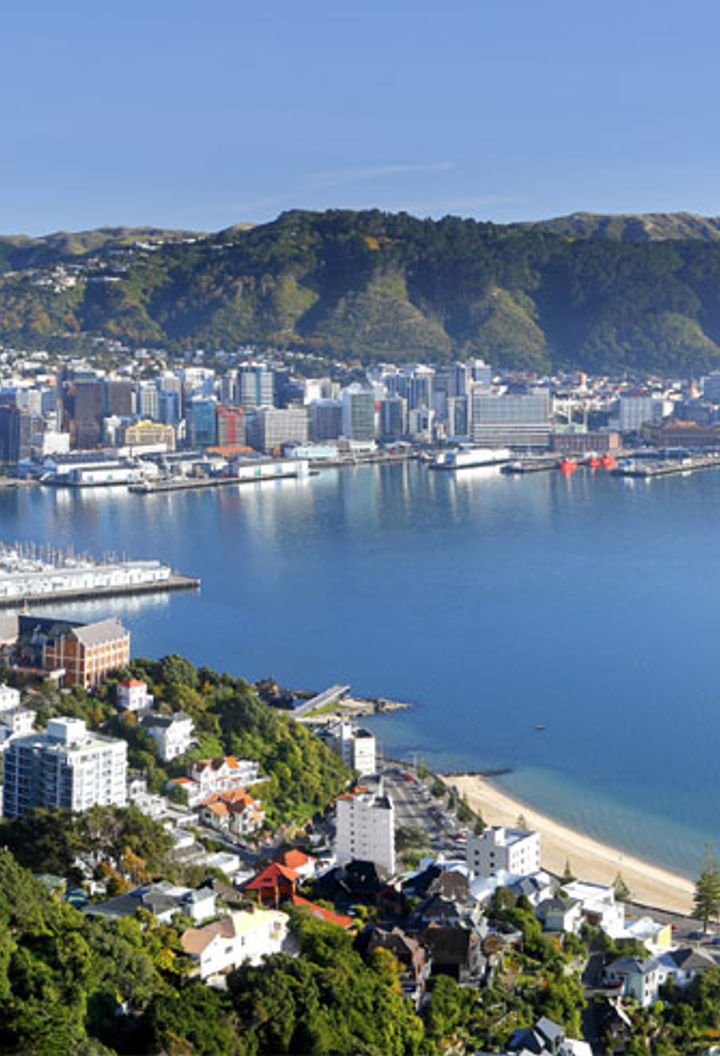 new zealand wellington from mt victoria tnz