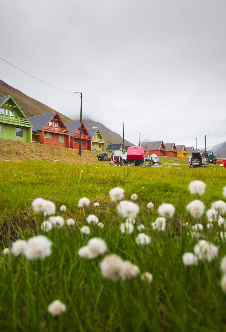 svalbard longyearbyen coloured houses summer istock