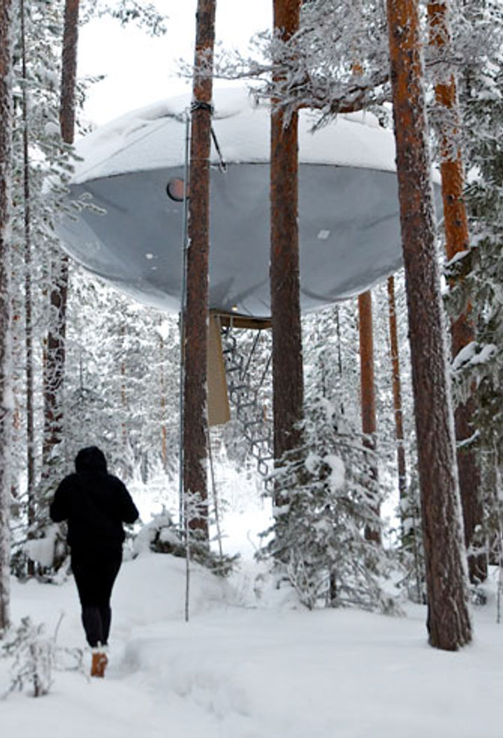 treehotel the ufo