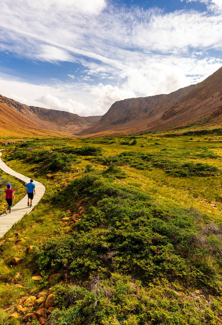 canada-newfoundland-hikers-gros-morne-national-park-nlt