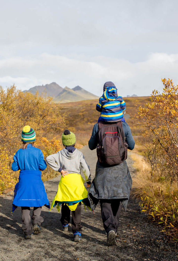 iceland-family-walking-through-skaftafell