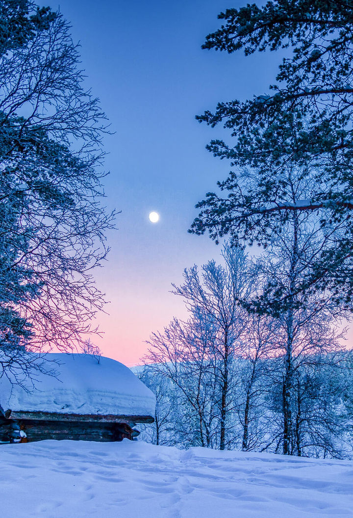 swedish-lapland-cabin-in-snow-covered-forest-istk