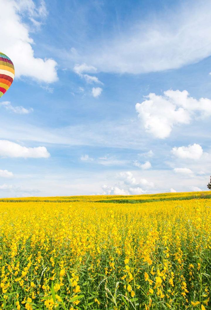 hot-air-balloon-over-field-istk