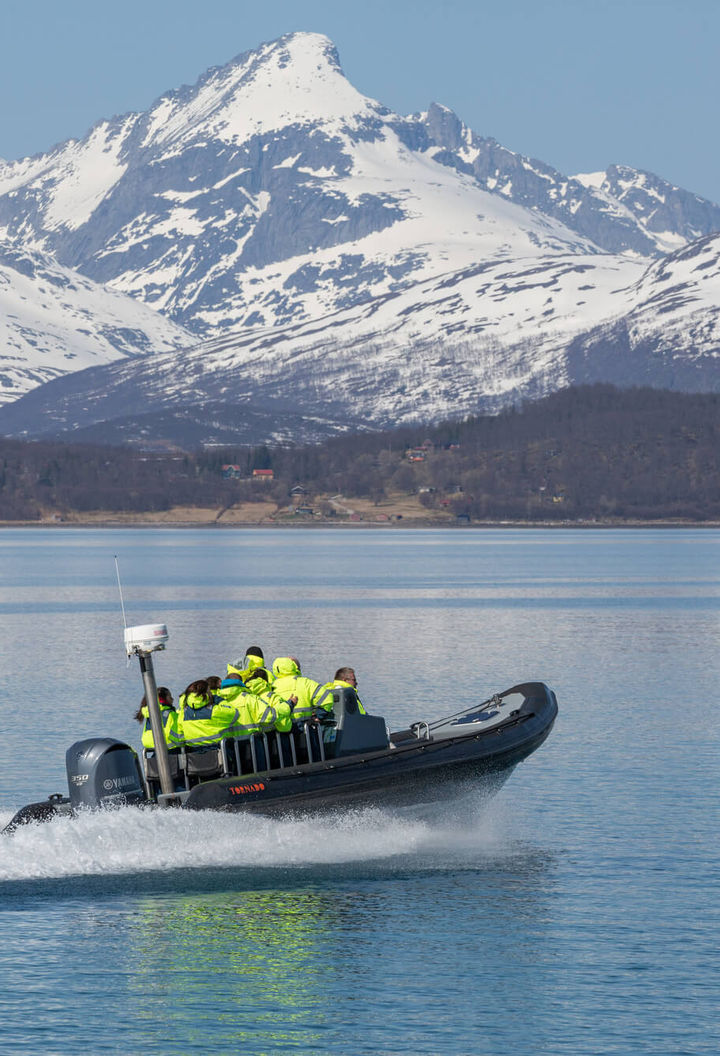 norway-tromso-boat-safari-ts