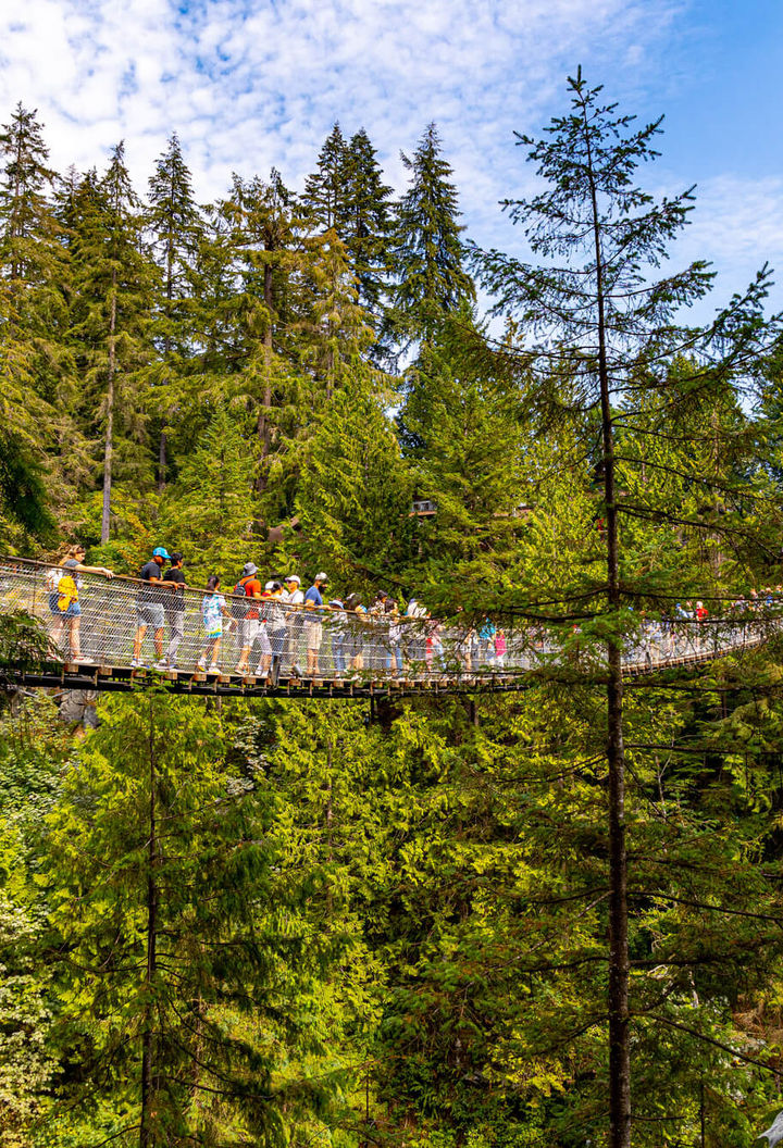 canada-capilano-suspension-bridge-british-columbia-astk