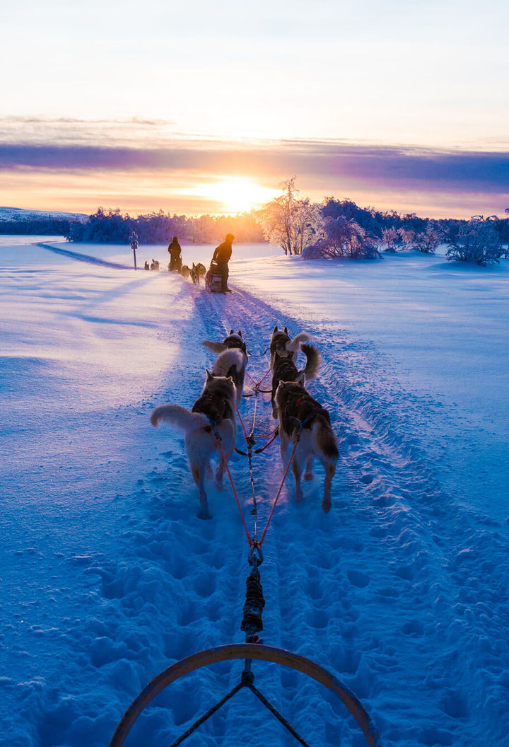Husky sledding in Finnish Lapland