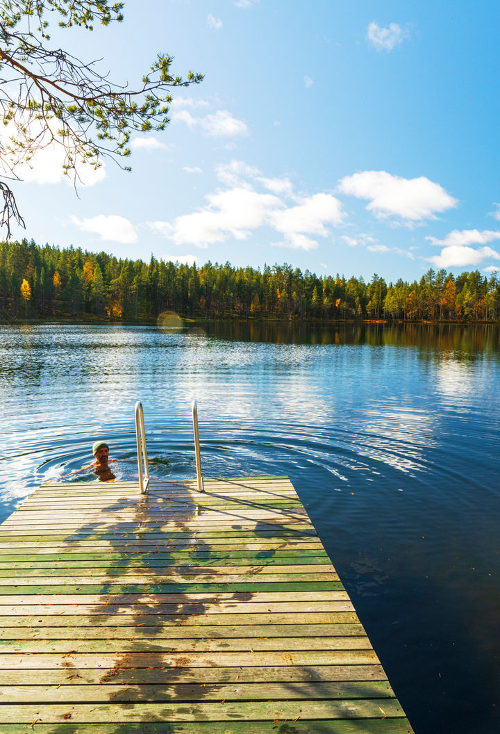 Man swimming in the chilling water of a finnish lake surrounded by golden forest, autumn scene, Finland