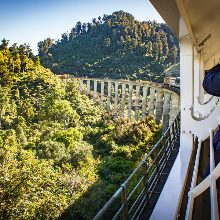 new-zealand-hapuawhenua-viaduct-on-northern-explorer-gjnz-robin-heyworth