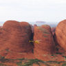 australia kata tjuta helicopter flight