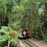 australia queensland daintree national park teq