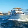 australia sydney harbour cruise