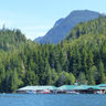 canada knight inlet lodge bc ll