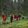 eastern finland hotel kalevala forest walk