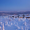 finnish lapland iso syote view of fjelltop accommodation