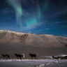 svalbard aurora husky sledding htgrtn