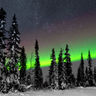 sweden lapland aurora over forest jw